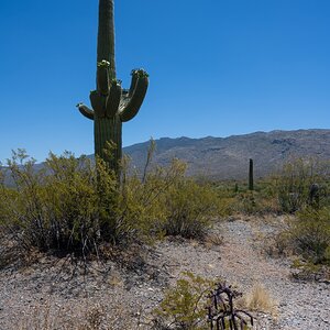 DSC_1912.jpg
