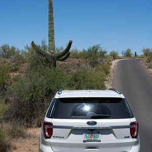 DSC_1913.jpg