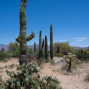DSC_1924.jpg