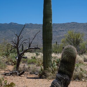 DSC_1946.jpg