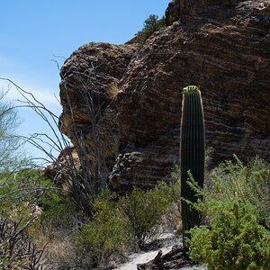 DSC_1954.jpg