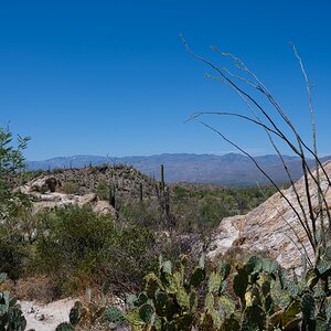 DSC_1955.jpg