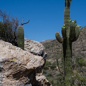 DSC_1956.jpg