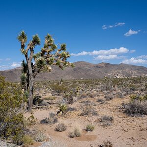 DSC_1979.jpg