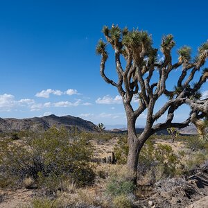 DSC_1980.jpg