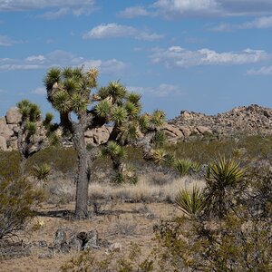 DSC_1992.jpg