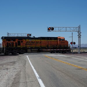 DSC_2100.jpg