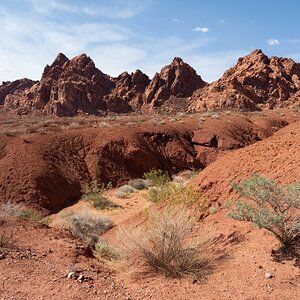 DSC_2183.jpg
