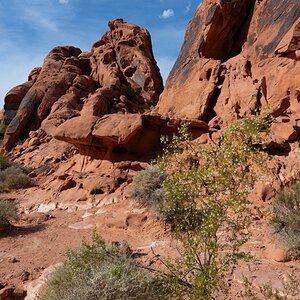 DSC_2196.jpg