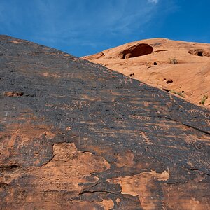 DSC_2198.jpg