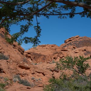 DSC_2206.jpg
