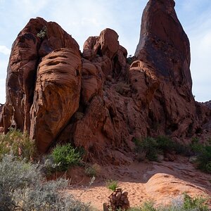 DSC_2213.jpg