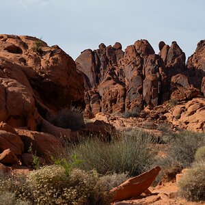 DSC_2217.jpg