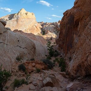 DSC_2249.jpg