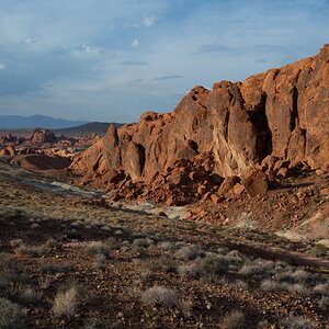 DSC_2256.jpg