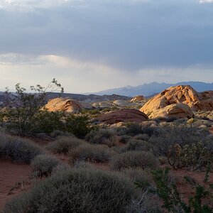 DSC_2272.jpg
