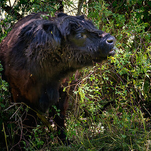 20230610-_DSC6476-Verbessert-RR-Bearbeitet.jpg