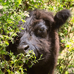 20230610-_DSC6490-Bearbeitet.jpg