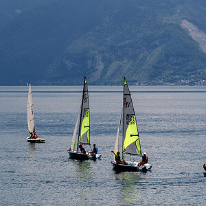 Segelsport.jpg