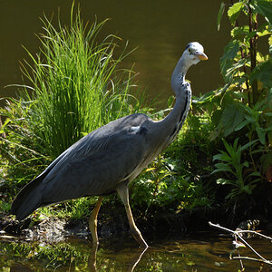 DSC_7190.JPG