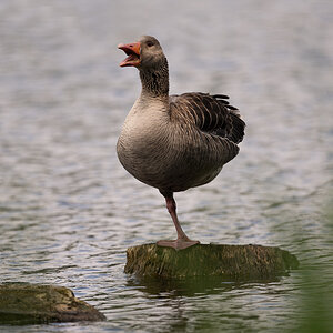 20230701-_DSC6641-Bearbeitet.jpg
