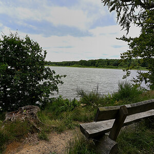 Haiden-Weiher02.JPG