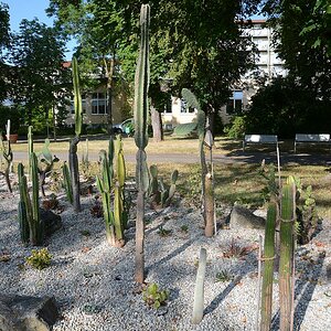 C71_2834.jpg