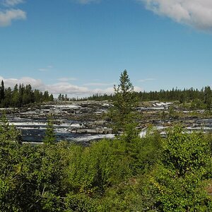 Trappstegsforsen