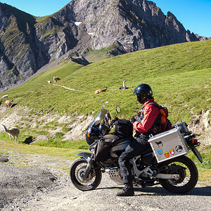 20110702-_7020051-Bearbeitet.jpg