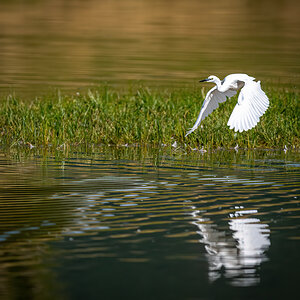 _D5C3830 (2)-DeNoiseAI-clear.jpg