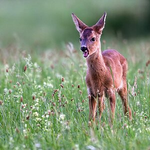2023_027862_DxO.jpg