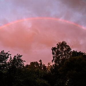 Rainbow 5-1.jpg
