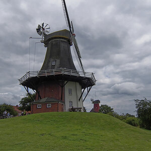 _EM50312_DxOxl.jpg