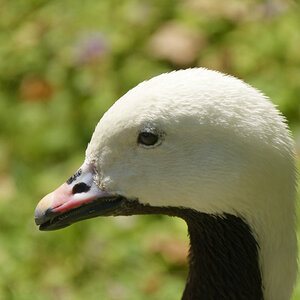 NIKON_2023_01481NF.jpg