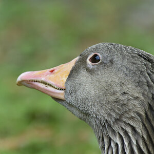 NIKON_2023_01483NF.jpg