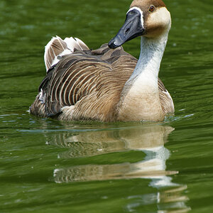 NIKON_2023_01522NF.jpg