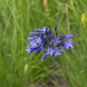 NIKON_2023_01533NF.jpg