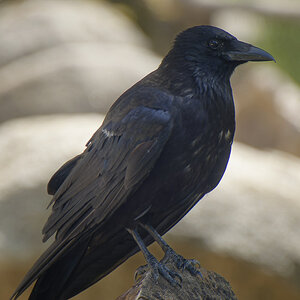 NIKON_2023_01463NF.jpg