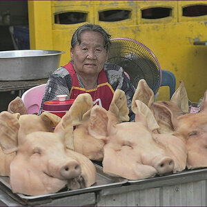 comp_2pig2.jpg