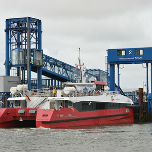DSC_8566.JPG