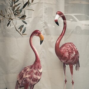 Schwaben-Flamingos