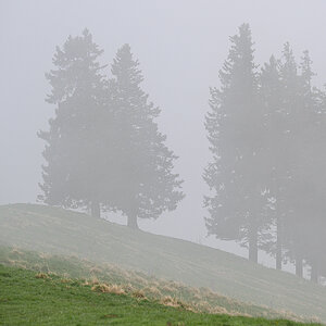 Nebel.jpg