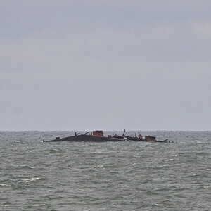 DSC_8572.JPG
