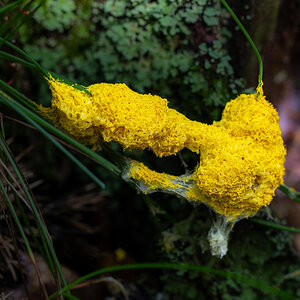 ZHG_0135.jpg