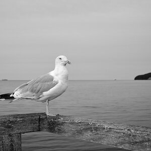 DSCF1396 1.jpg