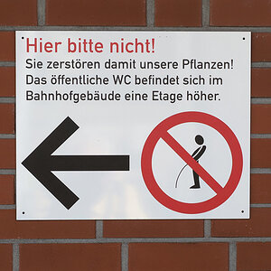 Männer sind Schweine.jpg