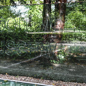 Amsterdam Auschwitz2.jpg