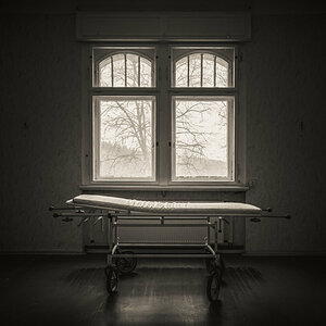 A Place at the Window