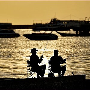 comp_2Fishing-lumi.jpg