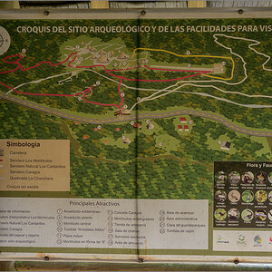 DZ7_3265.jpg